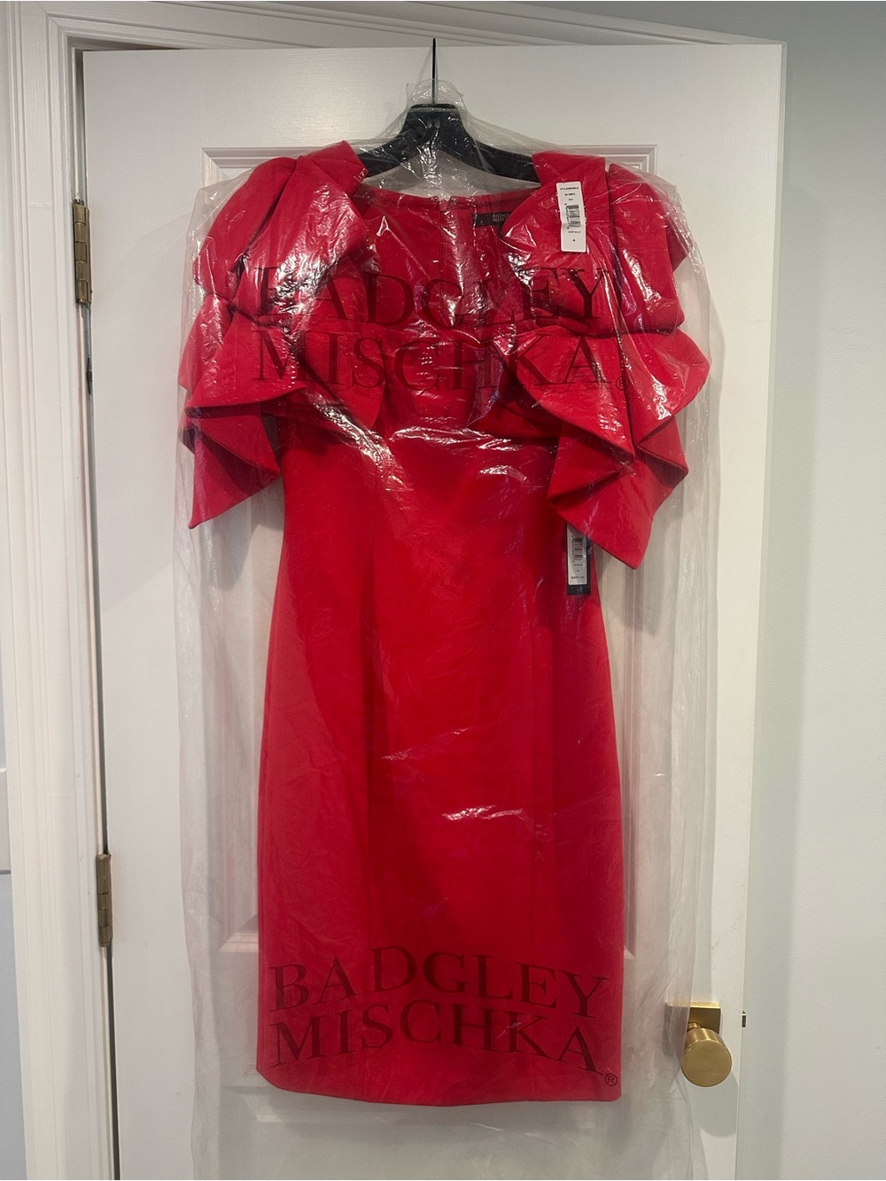 Badgley Mischka Vibrant Ruffle Sheath Dress